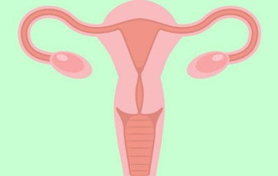 Dành 3 phút tìm hiểu: Niêm mạc tử cung mỏng và cách chữa trị